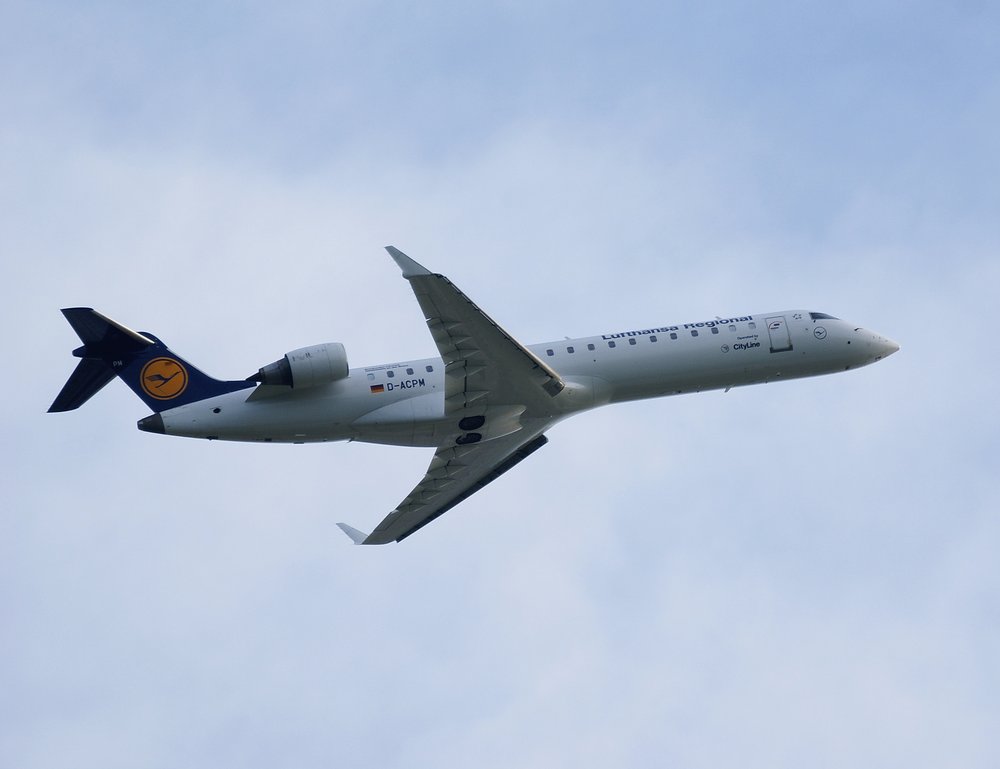 D-ACPM-1.JPG