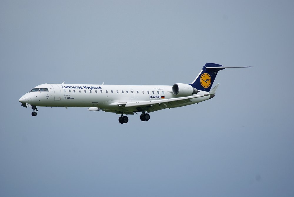 D-ACPO-1.JPG