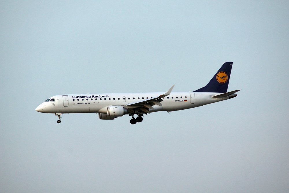 D-AECA.jpg