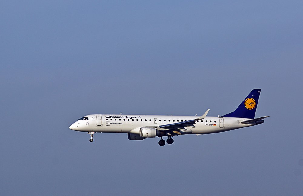 D-AECD.jpg