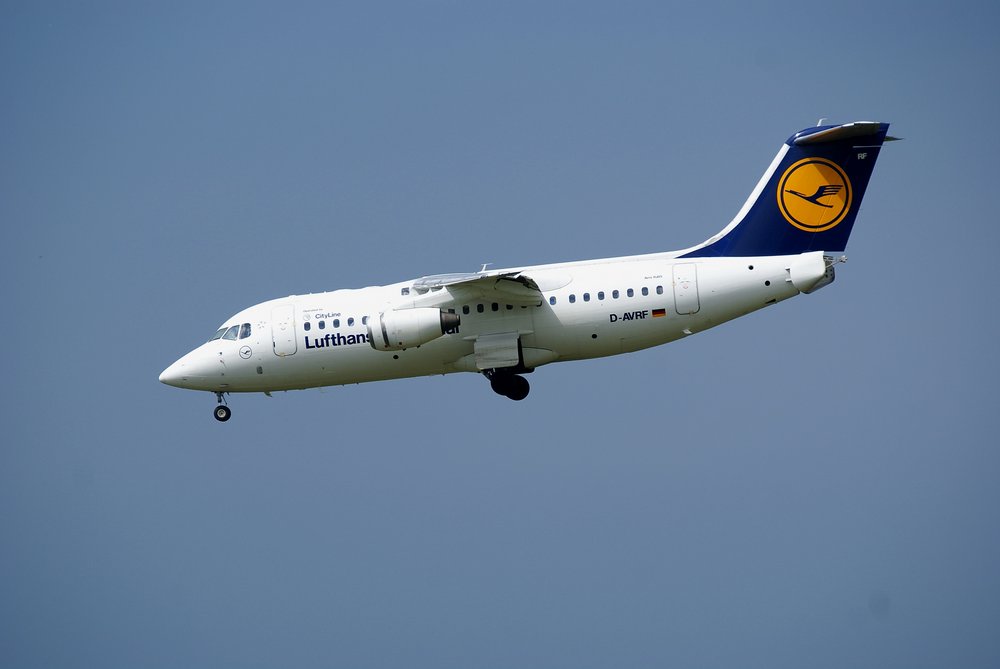 D-AVRF.JPG