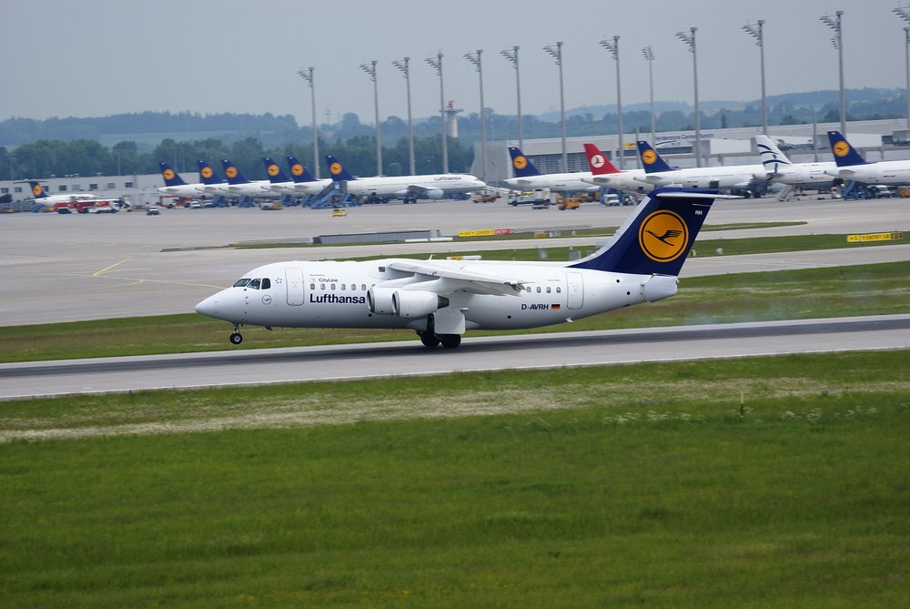 D-AVRH-1.jpg