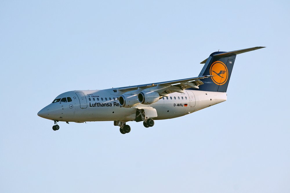 D-AVRJ_2.JPG