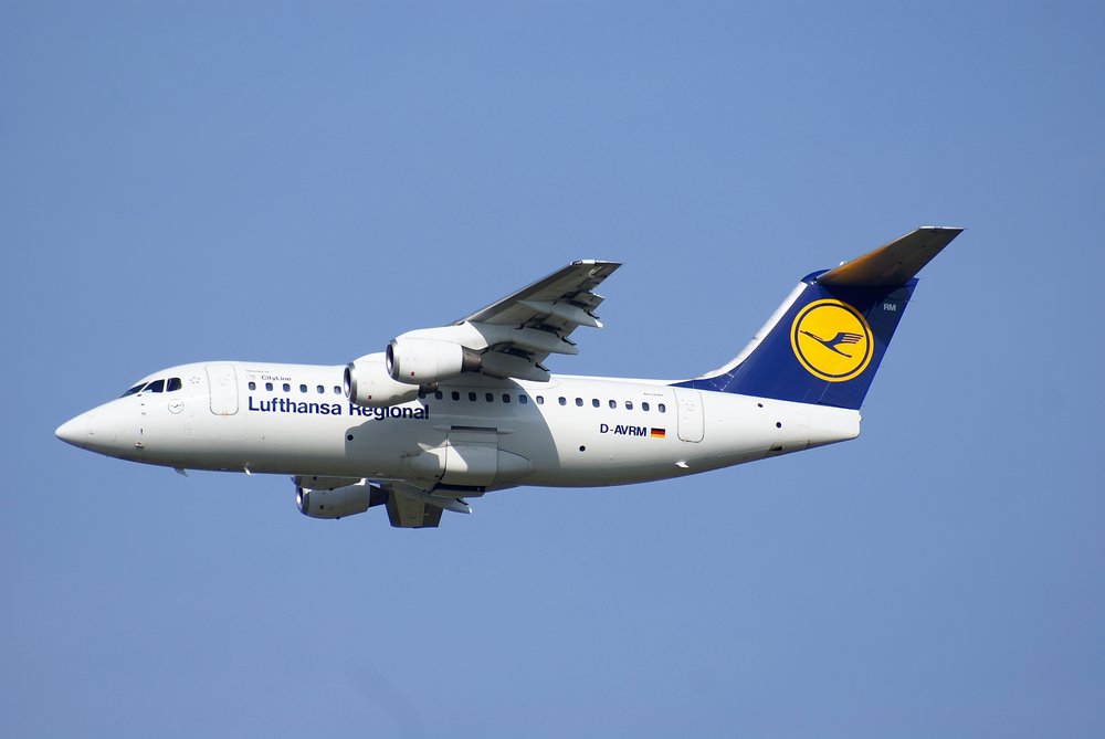 D-AVRM-2.JPG