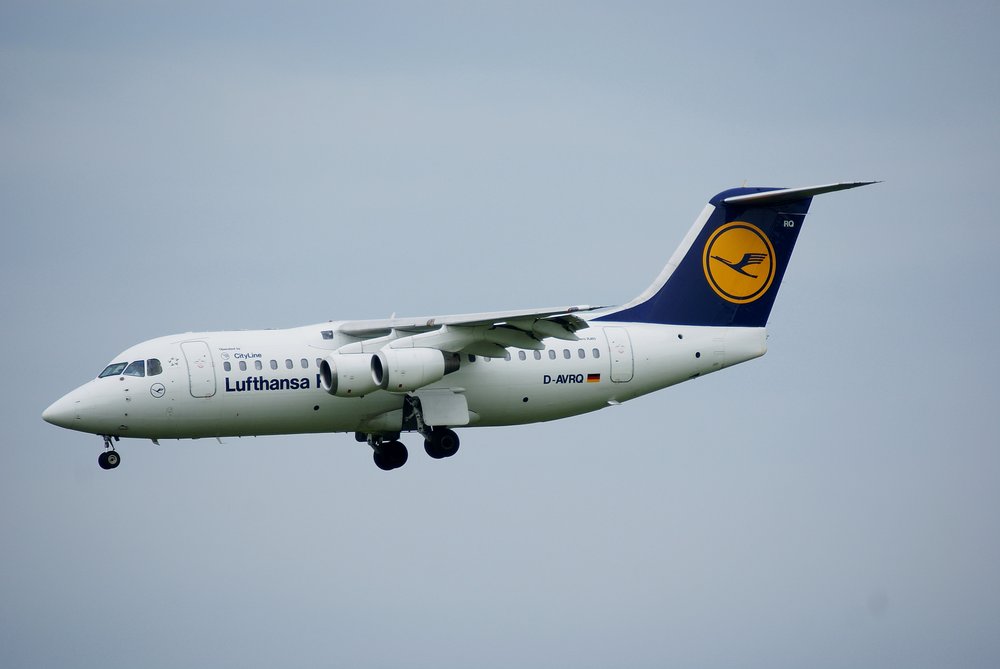 D-AVRQ-1.JPG