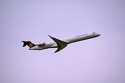 D-ACKL-1.JPG