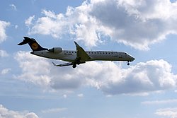 D-ACPD.JPG