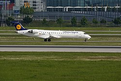 D-ACPN-2.JPG