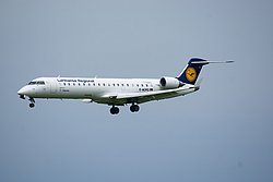 D-ACPO-1.JPG