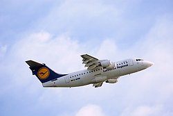 D-AVRM-1.jpg