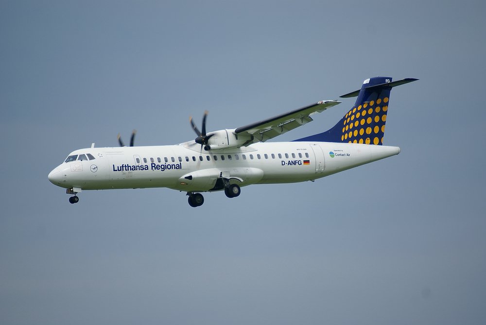D-ANFG-1.JPG