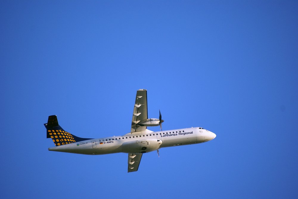 D-ANFG.JPG