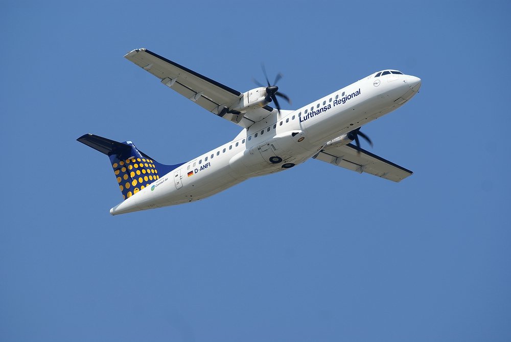 D-ANFI.JPG