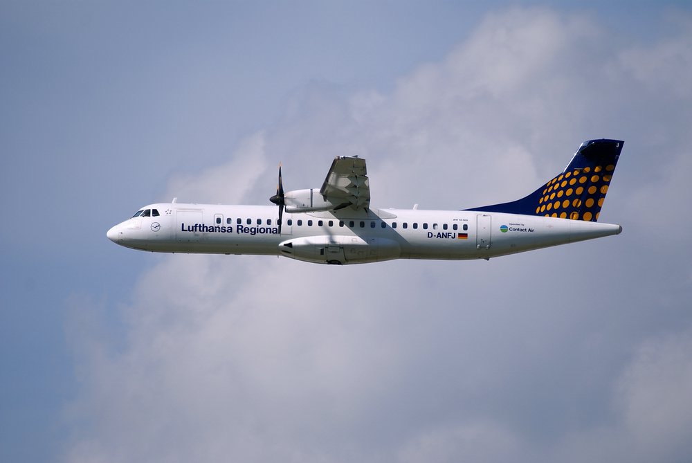 D-ANFJ-1.JPG