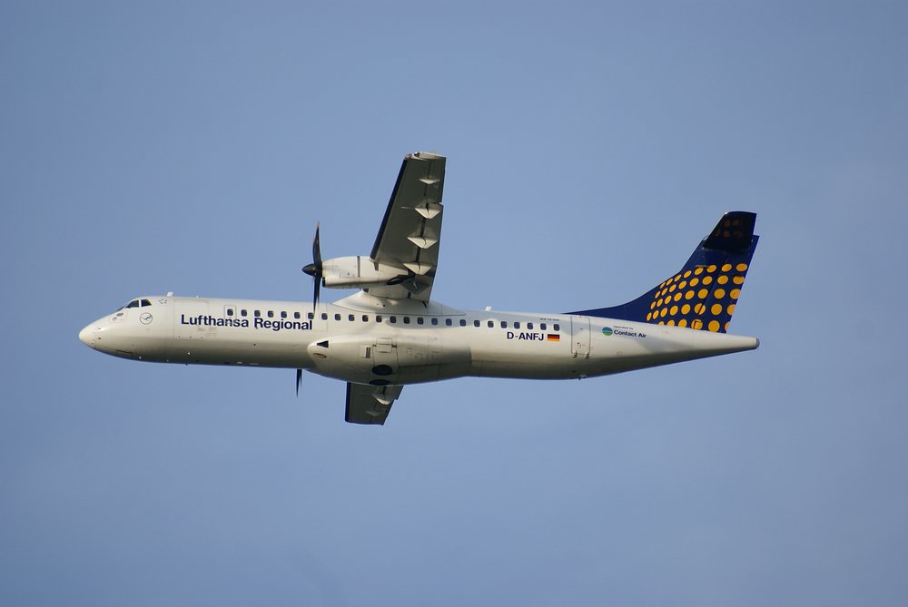 D-ANFJ.jpg