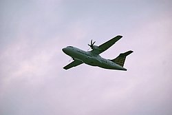 D-BPPP.JPG