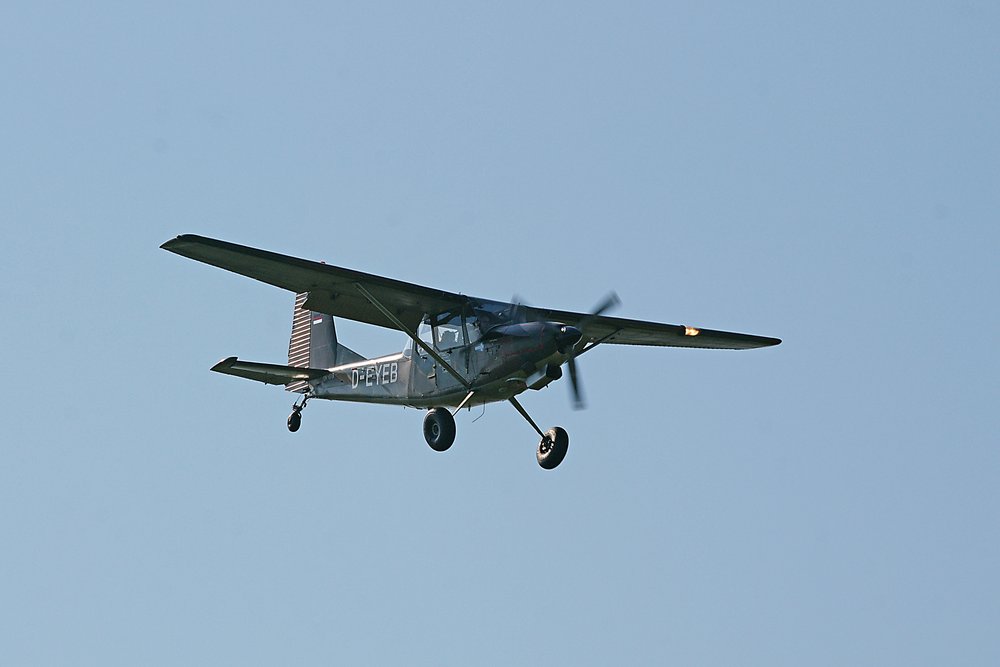 D-EYEB-1.jpg