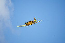 D-FRCP-6.jpg