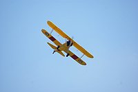 DSC01463.jpg