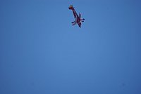 DSC02147.jpg