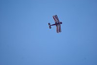 DSC02156.jpg