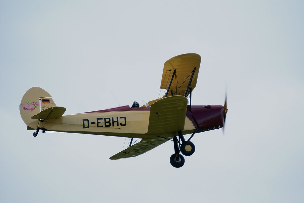 D-EBHJ-1.jpg