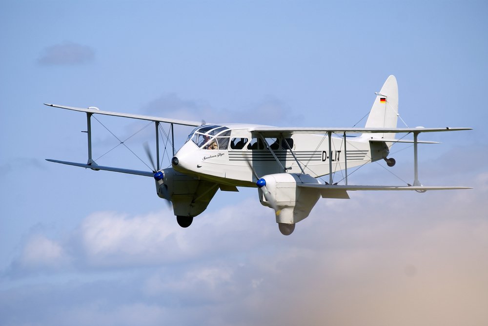 D-ILIT-1.jpg