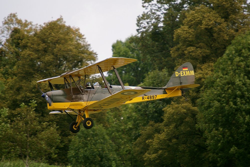 D-EXMM-1.jpg