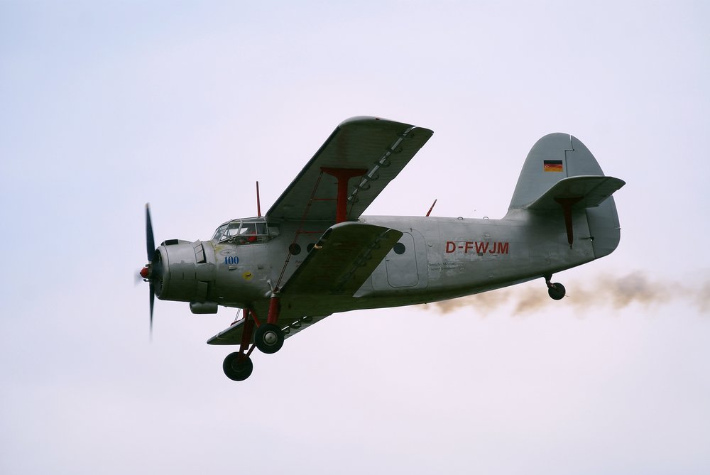 D-FWJM-1.jpg