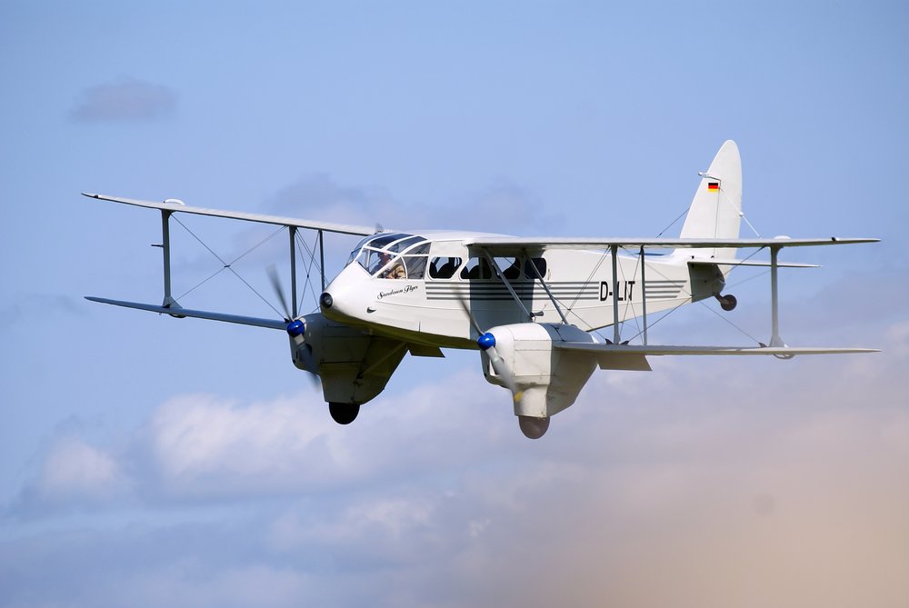 D-ILIT-1.jpg