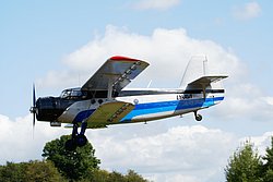 LY-AVI-1.JPG