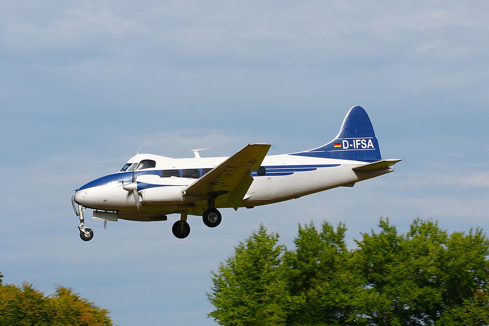 D-IFSA-01.jpg