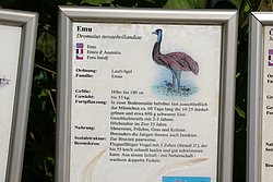 Emu-1.JPG