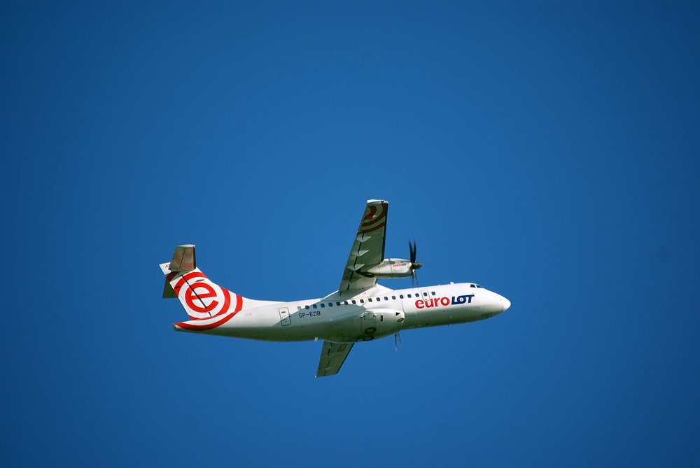 SP-EDB.JPG