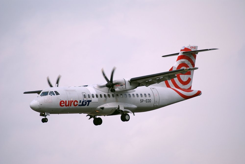 SP-EDD-1.JPG