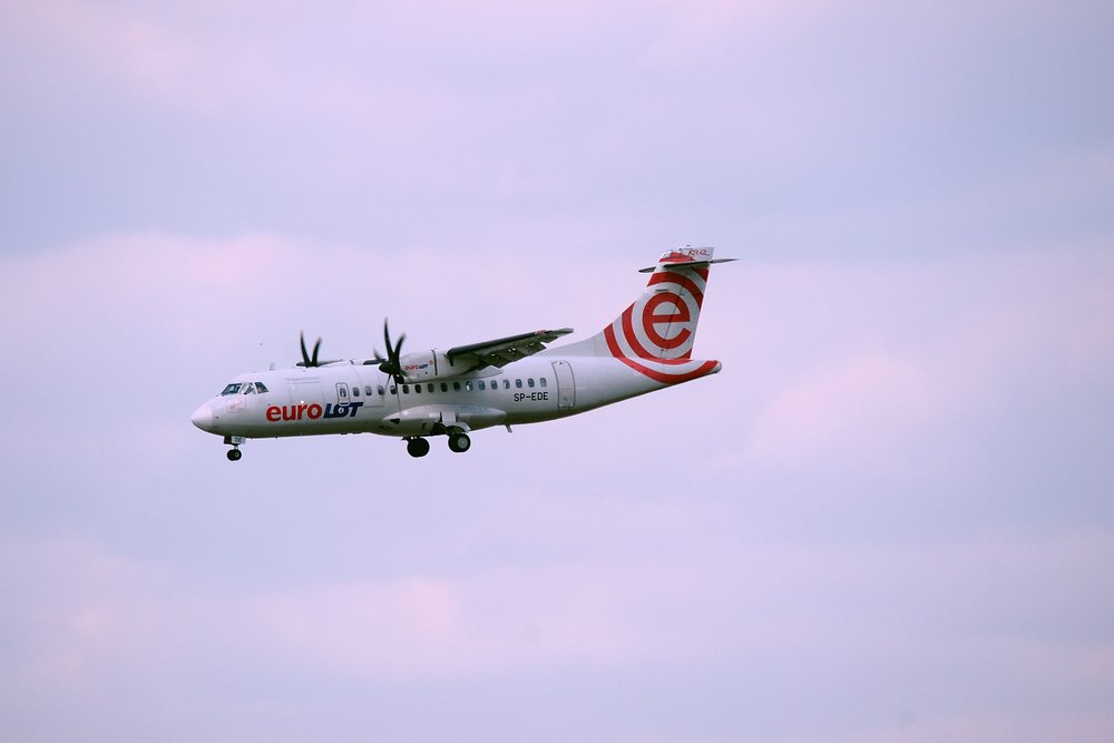 SP-EDE.JPG