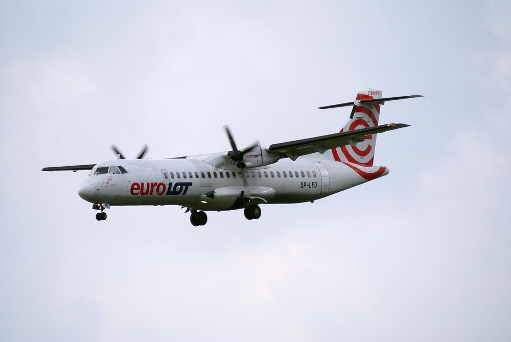 SP-LFD.JPG