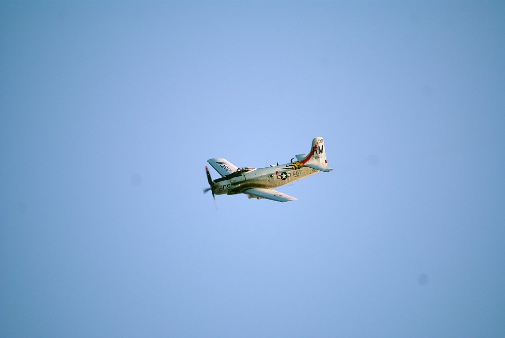 F-AZDP-6.JPG