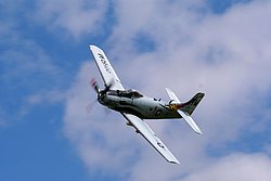 F-AZDP-1.JPG