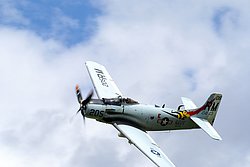 F-AZDP-3.JPG