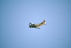 F-AZDP-6.JPG