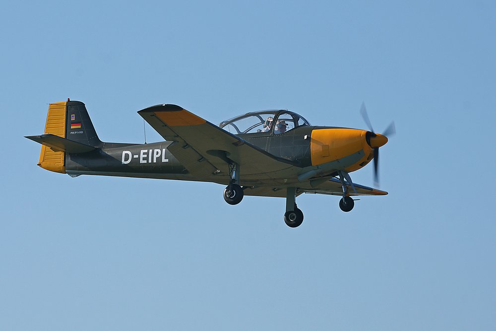 D-EIPL-1.jpg