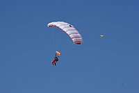DSC01098.jpg