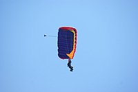 DSC01565.jpg