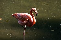 DSC01227.jpg