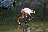 DSC01231.jpg