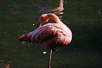 DSC01242.jpg