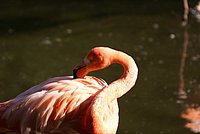 DSC01244.jpg