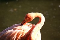 DSC01245.jpg