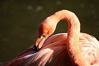 DSC01247.jpg